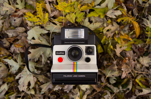 Polaroid camera on leaves